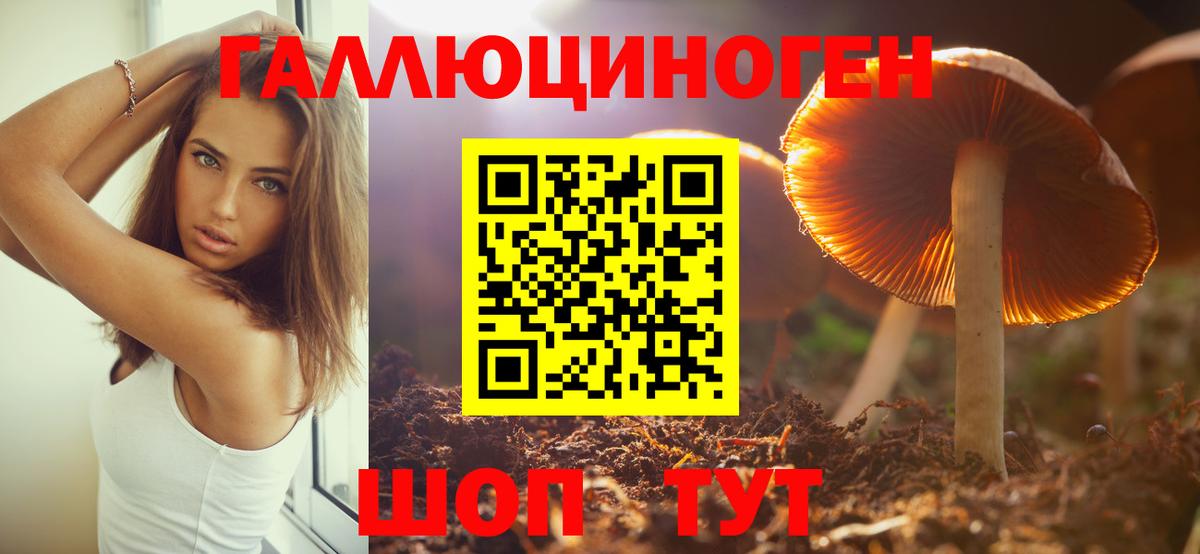 Галлюциногенные грибы MAGIC MUSHROOMS Ступино